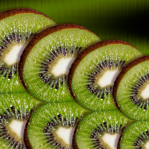 rodajas