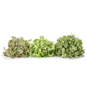 mix de Brotes Kings of Greens Mix